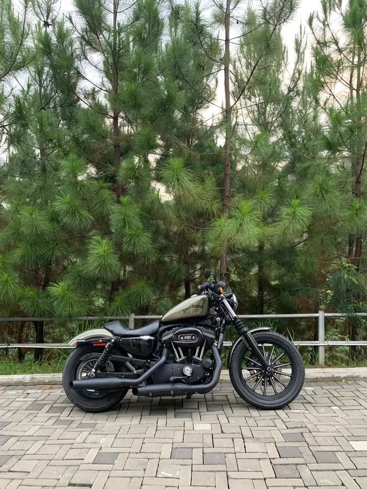 Harley Davidson Iron 883 tahun 2013