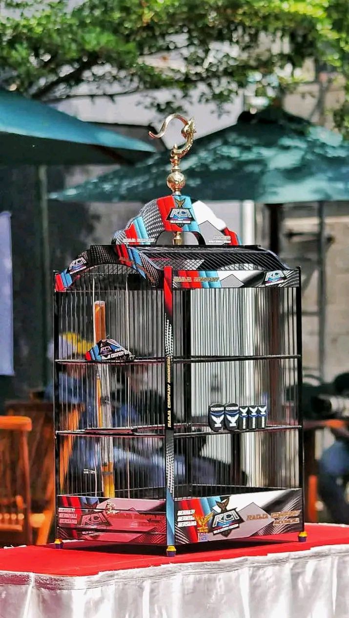 Jual Sangkar Radja Premium – Elegan, Kuat, dan Siap Juara 🏆