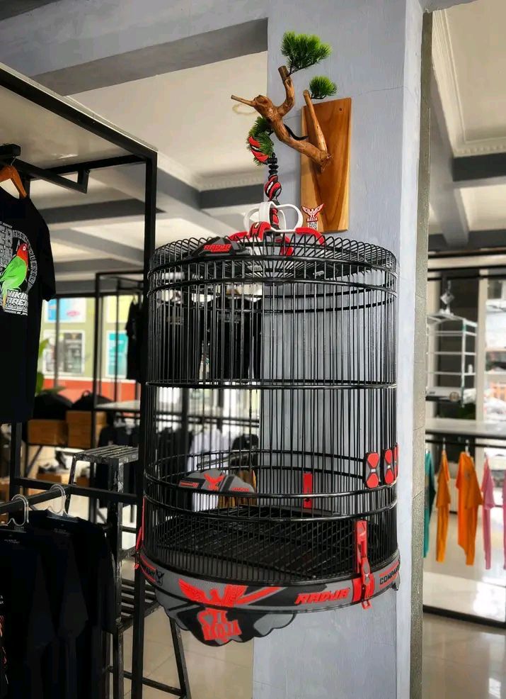 Jual Sangkar Radja Premium – Elegan, Kuat, dan Siap Juara 🏆
