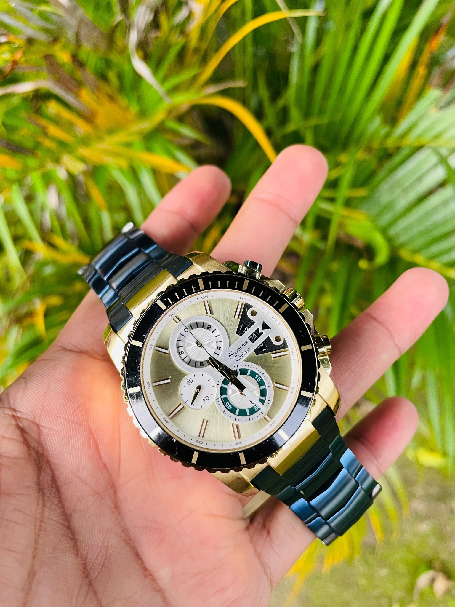 Dijual Jam Alexandre Christie 6455MC Bluerosegold – Elegant & Original