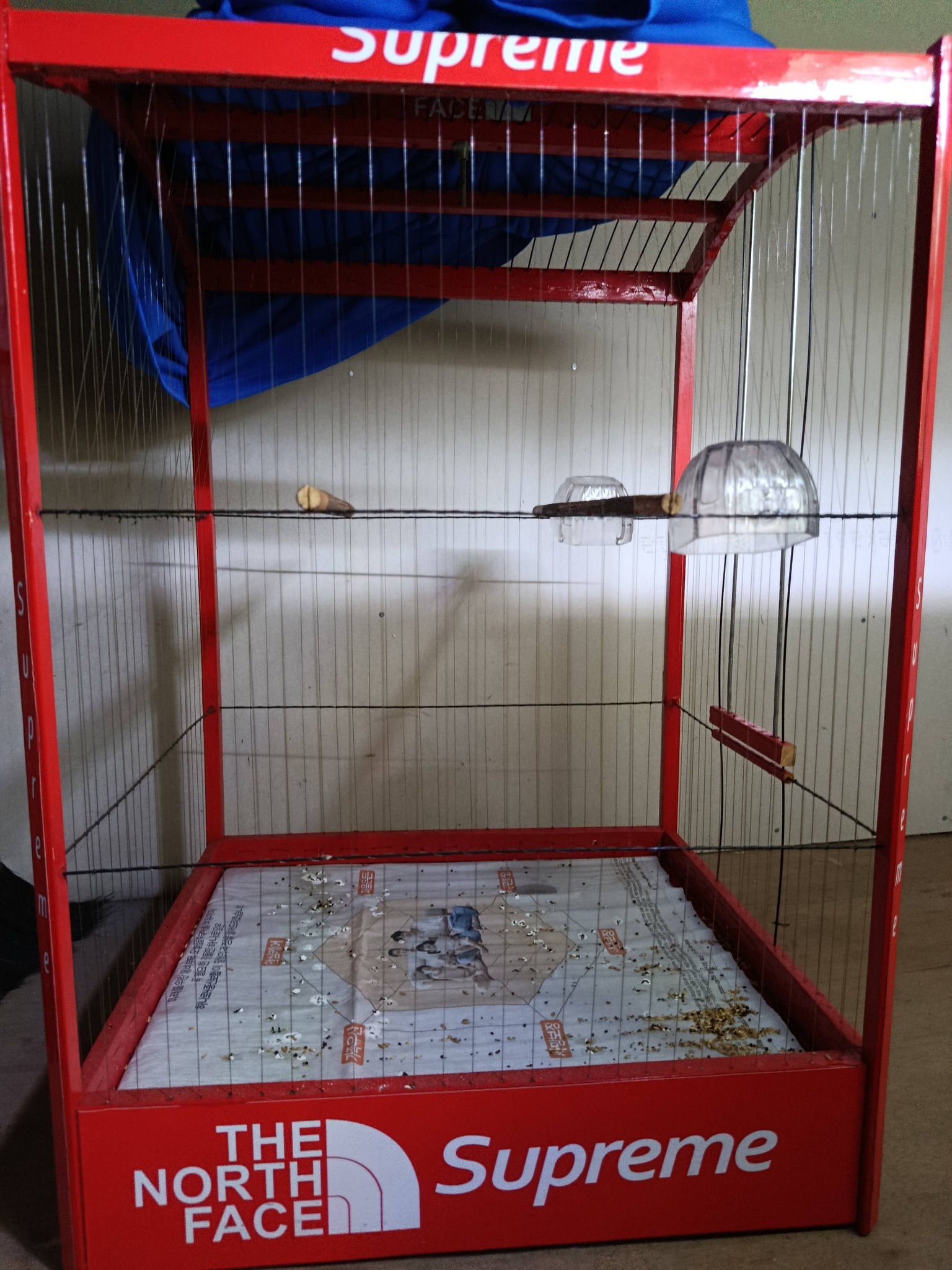 DIJUAL SANGKAR BURUNG MURAH & SIAP PAKAI – MUMPUNG ADA DI BUMI 🐦
