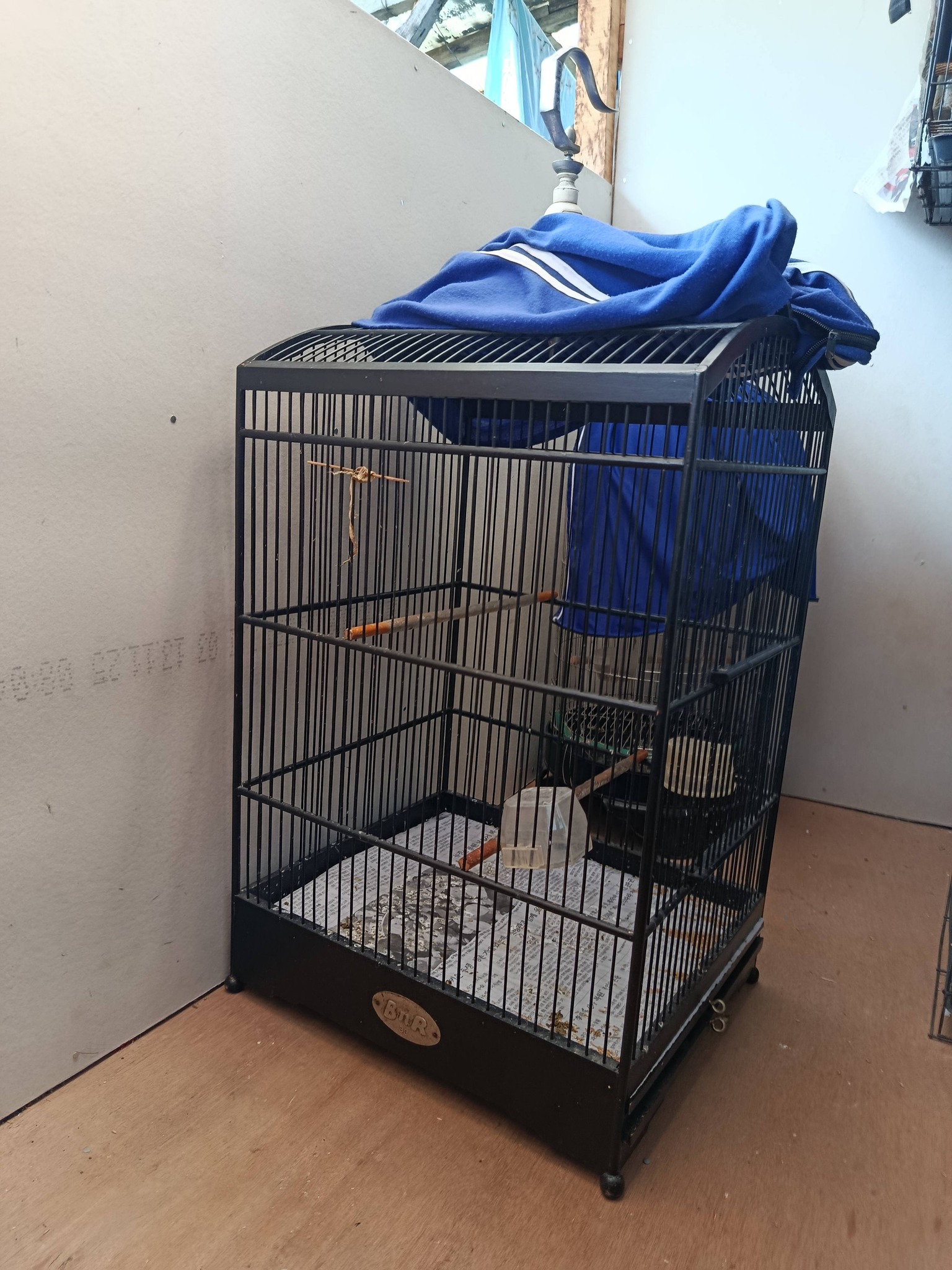 DIJUAL SANGKAR BURUNG MURAH & SIAP PAKAI – MUMPUNG ADA DI BUMI 🐦
