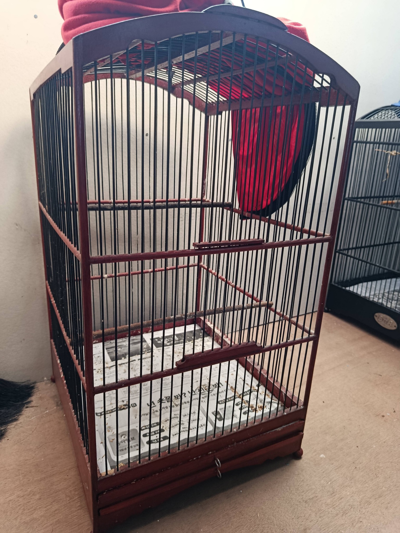 DIJUAL SANGKAR BURUNG MURAH & SIAP PAKAI – MUMPUNG ADA DI BUMI 🐦