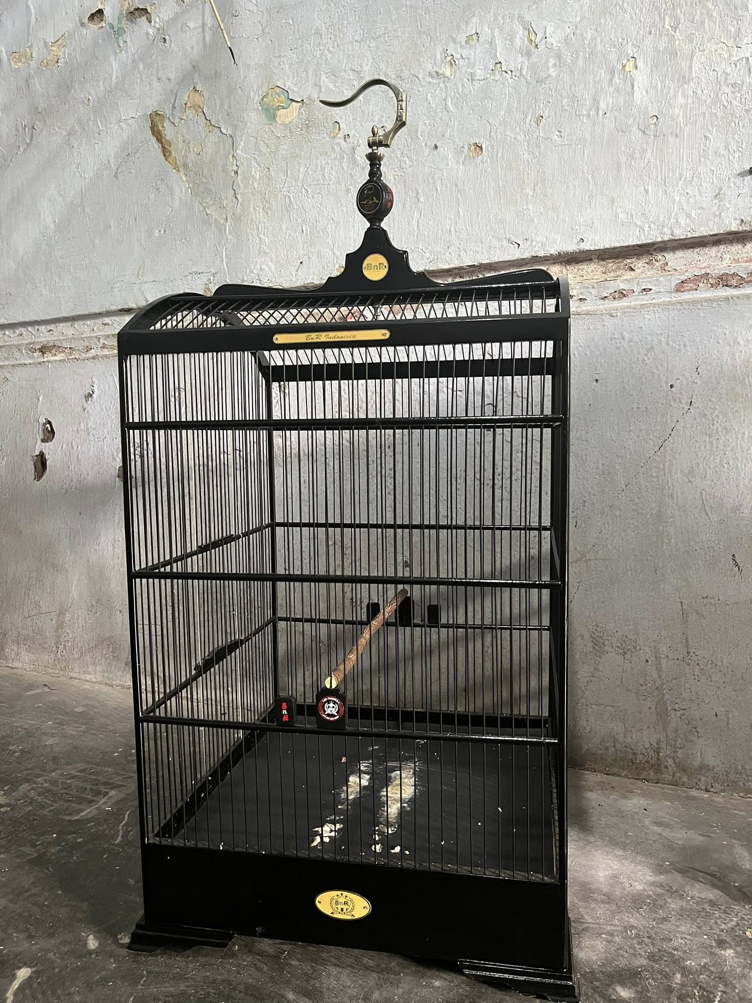JUAL BELI SANGKAR BURUNG PEKALONGAN – KUALITAS JUARA, HARGA BERSAHABAT 🔔