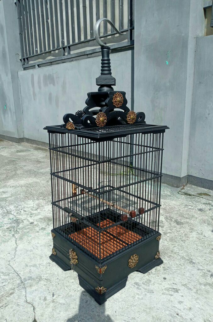 Sangkar Burung & Bahan Berkualitas – Kuat, Rapi, Harga Bersahabat!