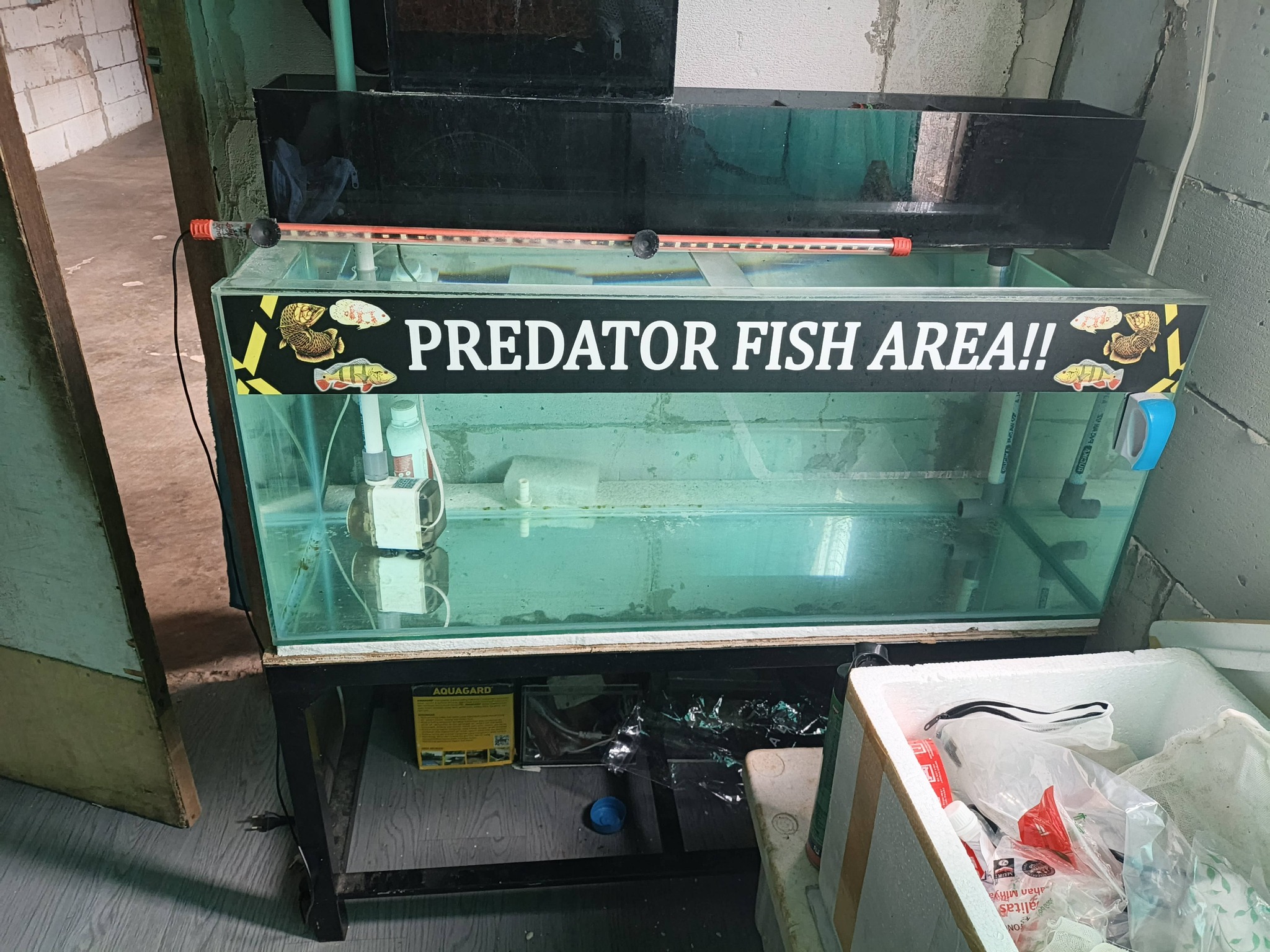 DIJUAL CEPAT AQUARIUM LENGKAP SIAP PAKAI – KONDISI MULUS ANTI BOCOR! 🐠