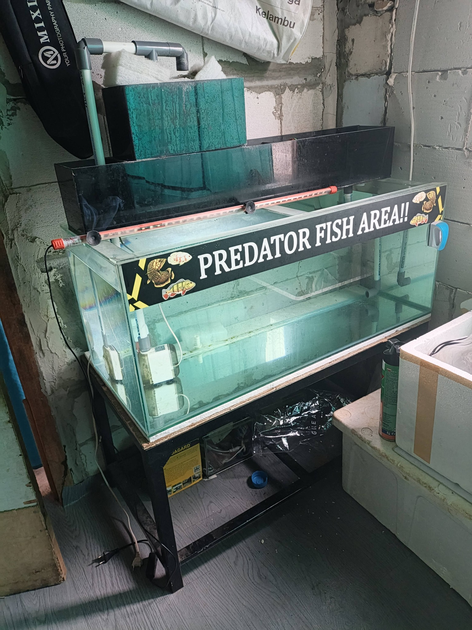 DIJUAL CEPAT AQUARIUM LENGKAP SIAP PAKAI – KONDISI MULUS ANTI BOCOR! 🐠