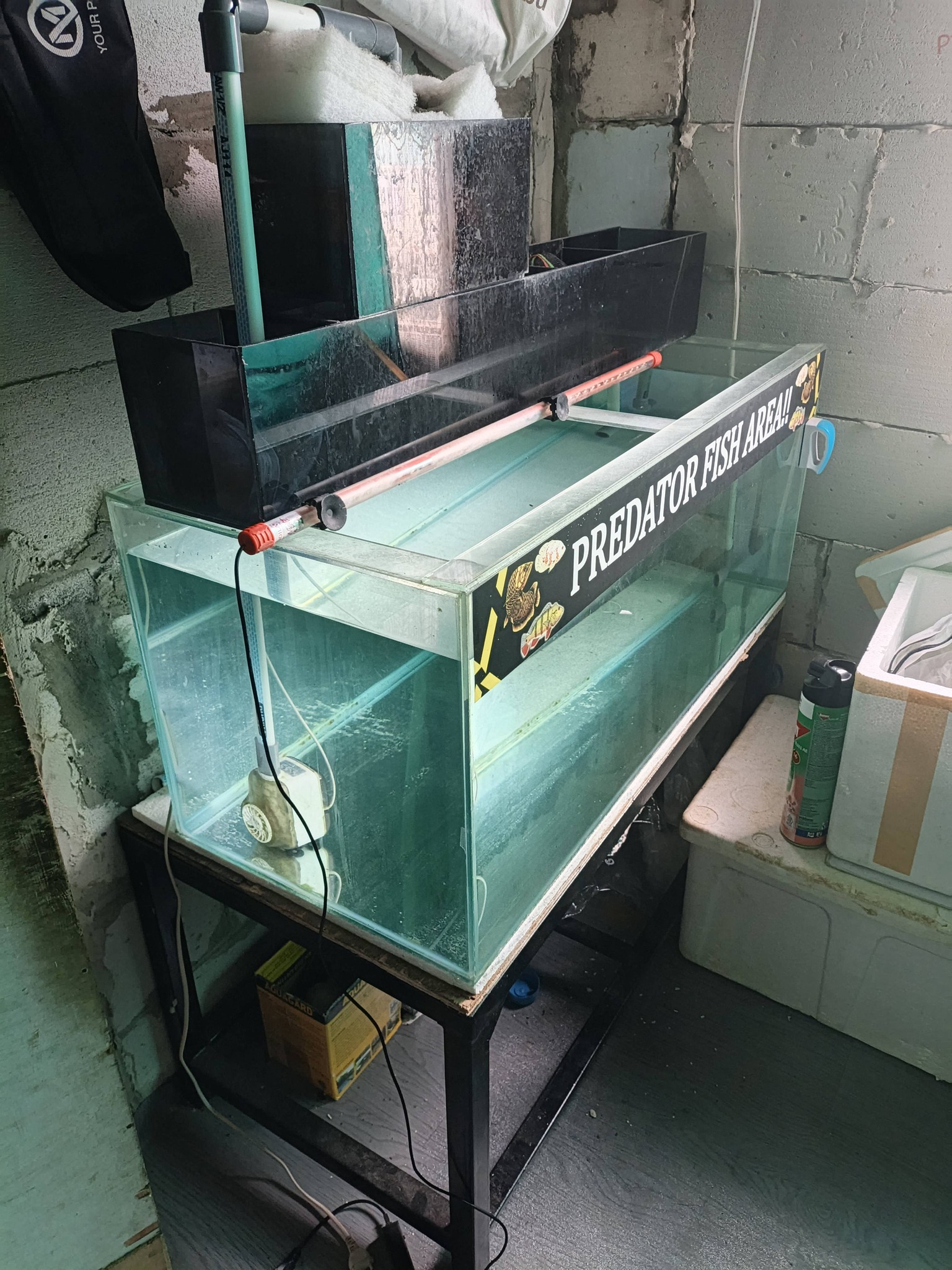 DIJUAL CEPAT AQUARIUM LENGKAP SIAP PAKAI – KONDISI MULUS ANTI BOCOR! 🐠