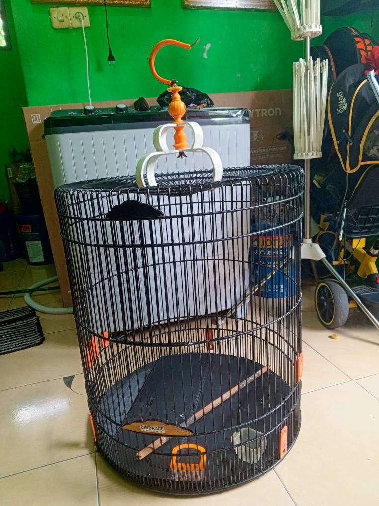 JUAL CEPAT SANGKAR + TEBOK NO.1 DIAMETER 58 🔥