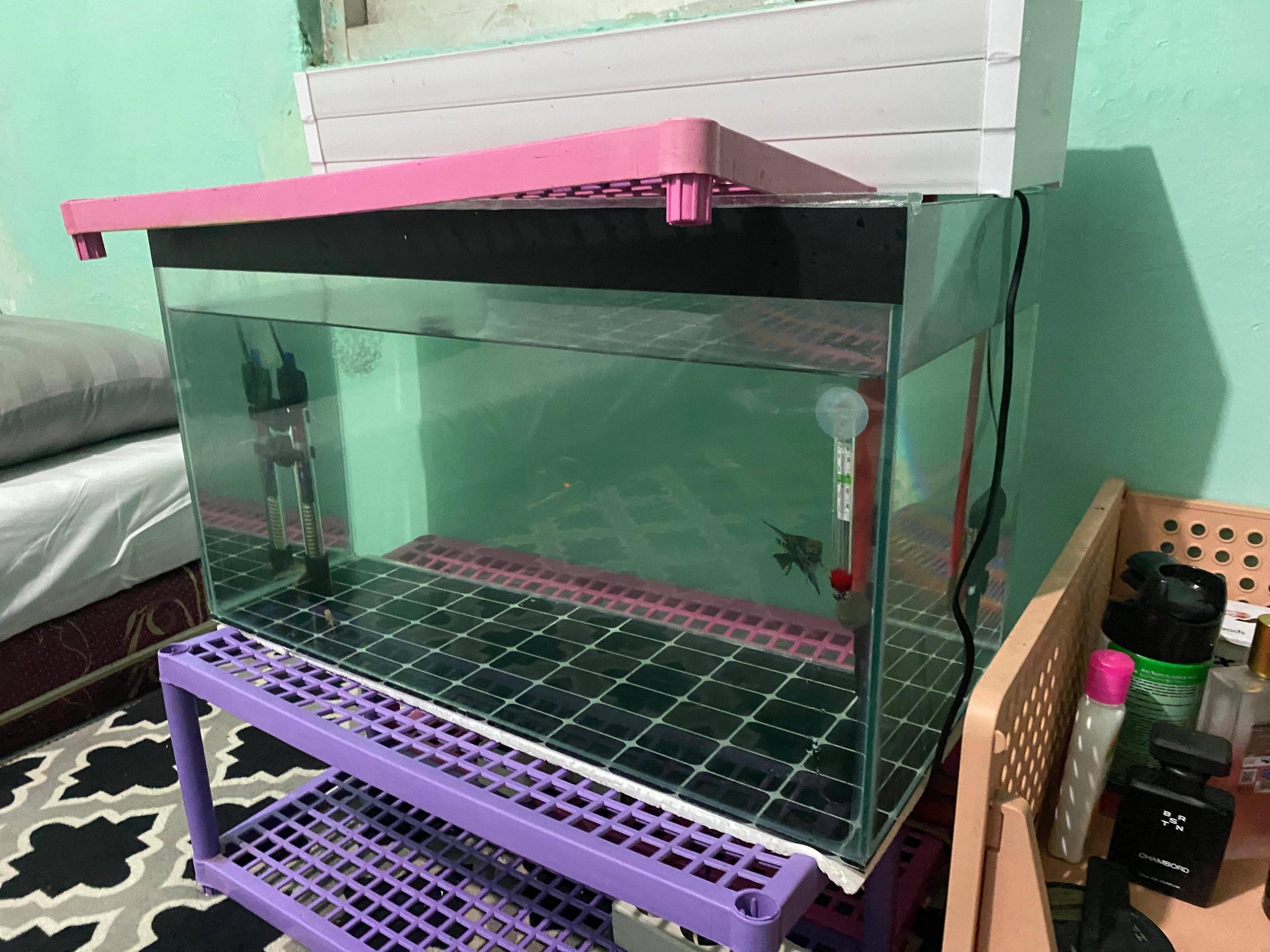 Dijual Aquarium 60x30x30 Full Set – Tinggal Angkut, Siap Pakai!