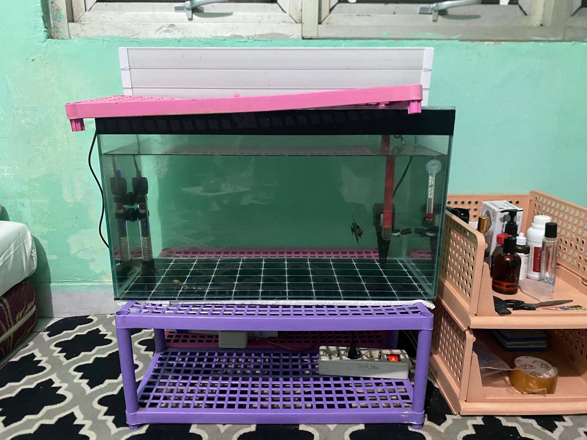 Dijual Aquarium 60x30x30 Full Set – Tinggal Angkut, Siap Pakai!