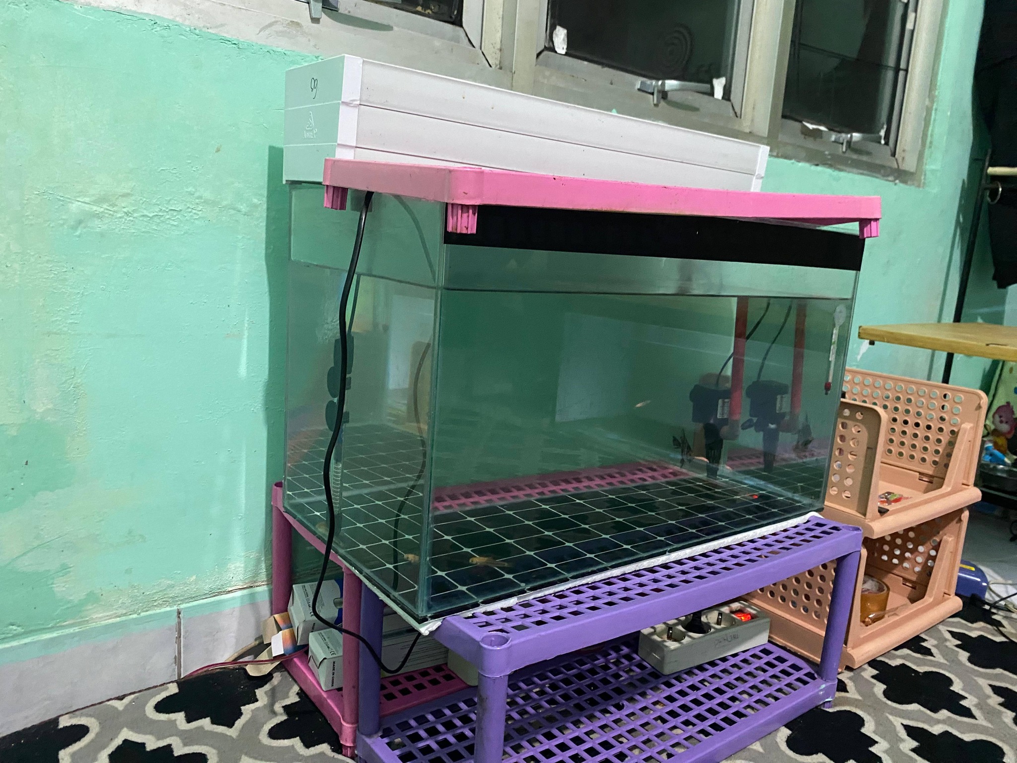 Dijual Aquarium 60x30x30 Full Set – Tinggal Angkut, Siap Pakai!
