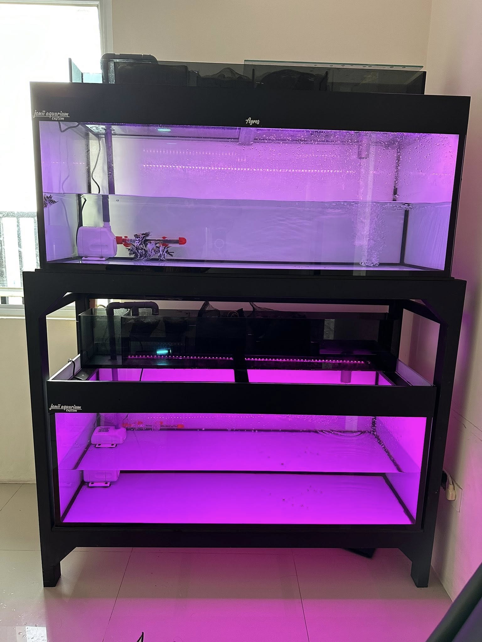 DIJUAL CEPAT! AQUARIUM 2 TINGKAT SET LENGKAP – SIAP PAKAI, KOKOH & PREMIUM