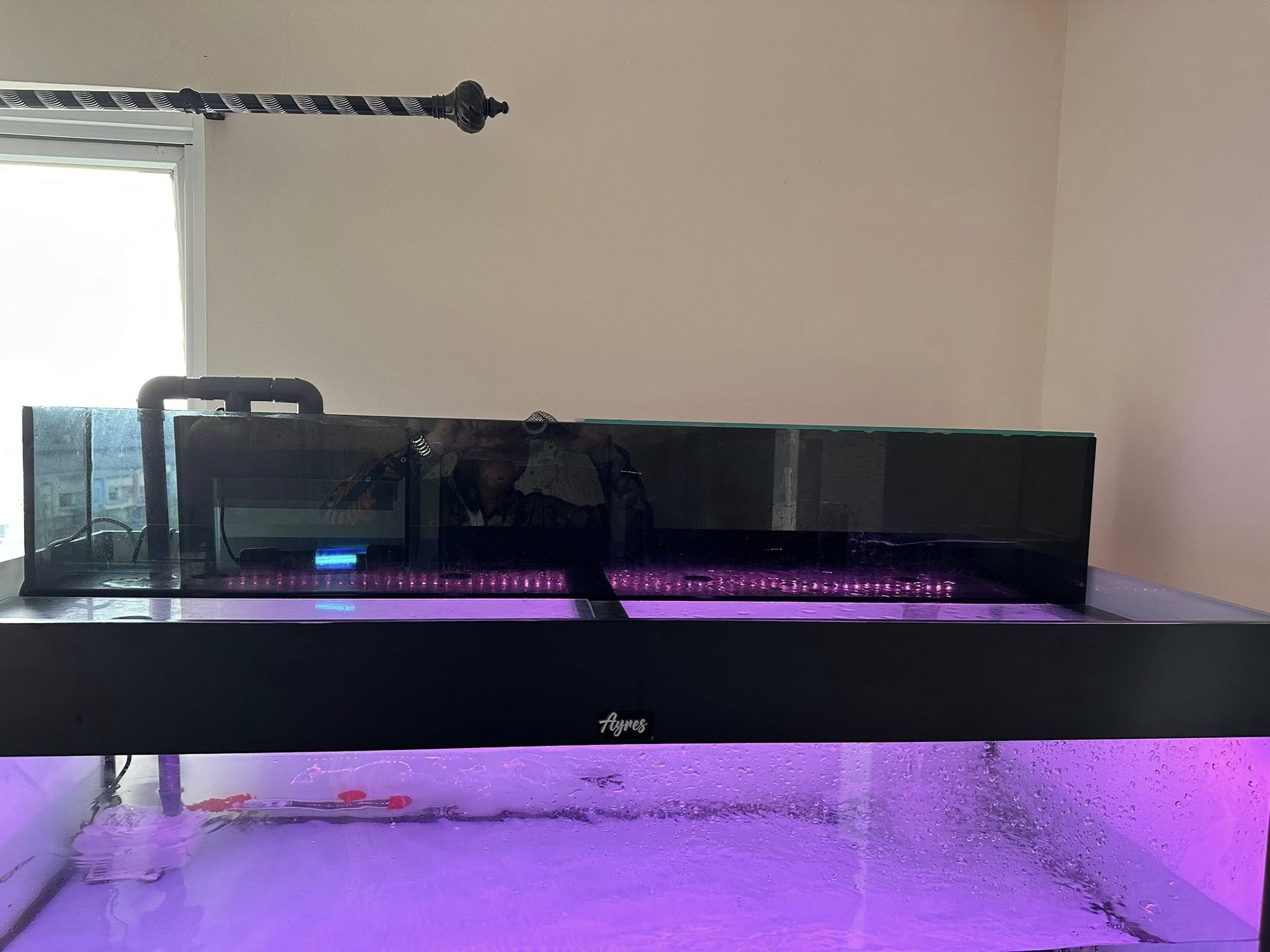 DIJUAL CEPAT! AQUARIUM 2 TINGKAT SET LENGKAP – SIAP PAKAI, KOKOH & PREMIUM