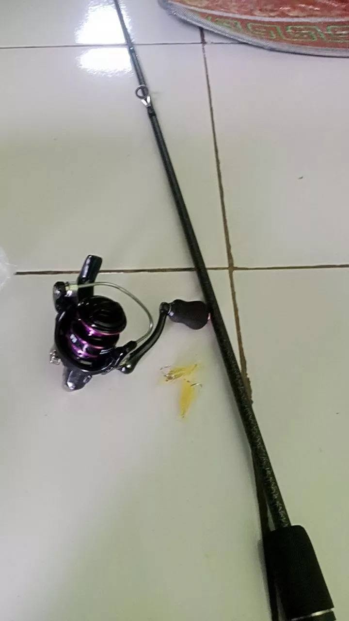 JUAL MURAH! Set Pancing Daiwa Original | Pilihan 1.65M–2.4M | Kondisi BARU
