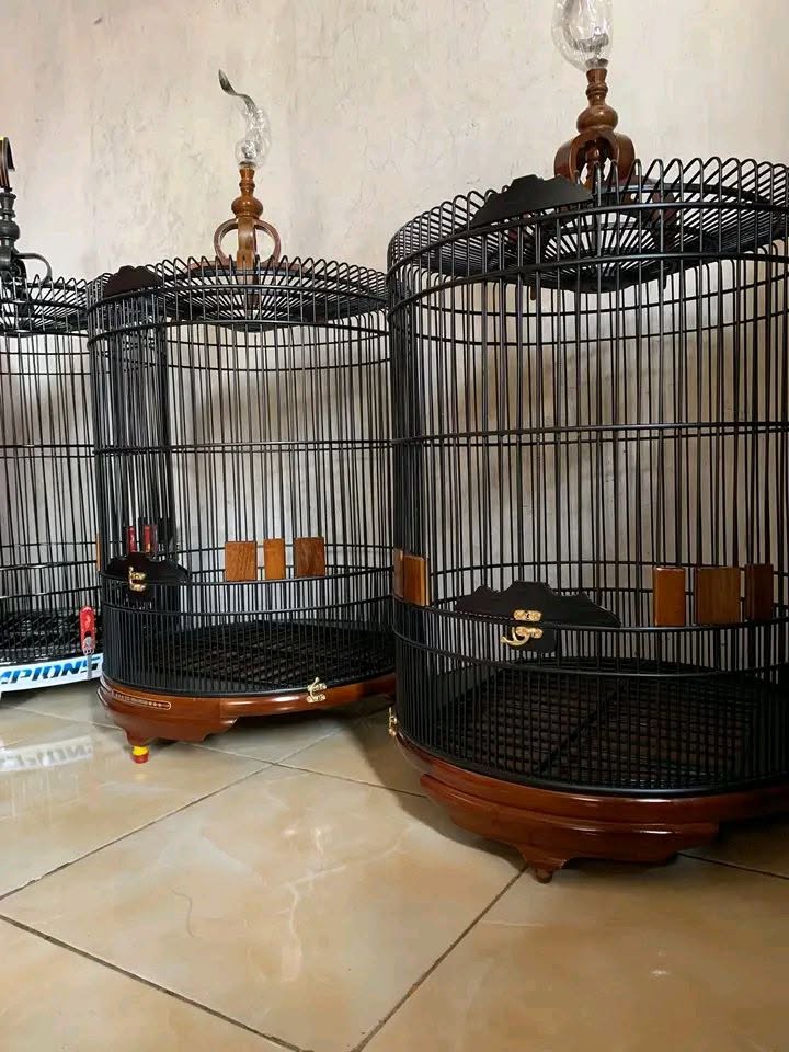 JUAL BELI SANGKAR BARU READY – JJ JAYA 🔥