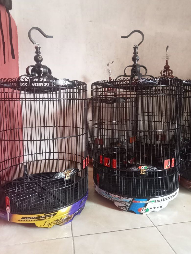 JUAL BELI SANGKAR BARU READY – JJ JAYA 🔥