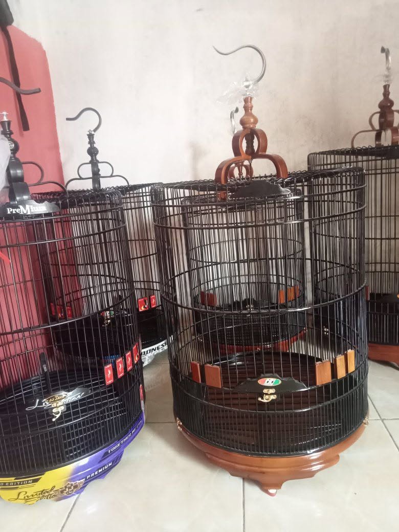 JUAL BELI SANGKAR BARU READY – JJ JAYA 🔥
