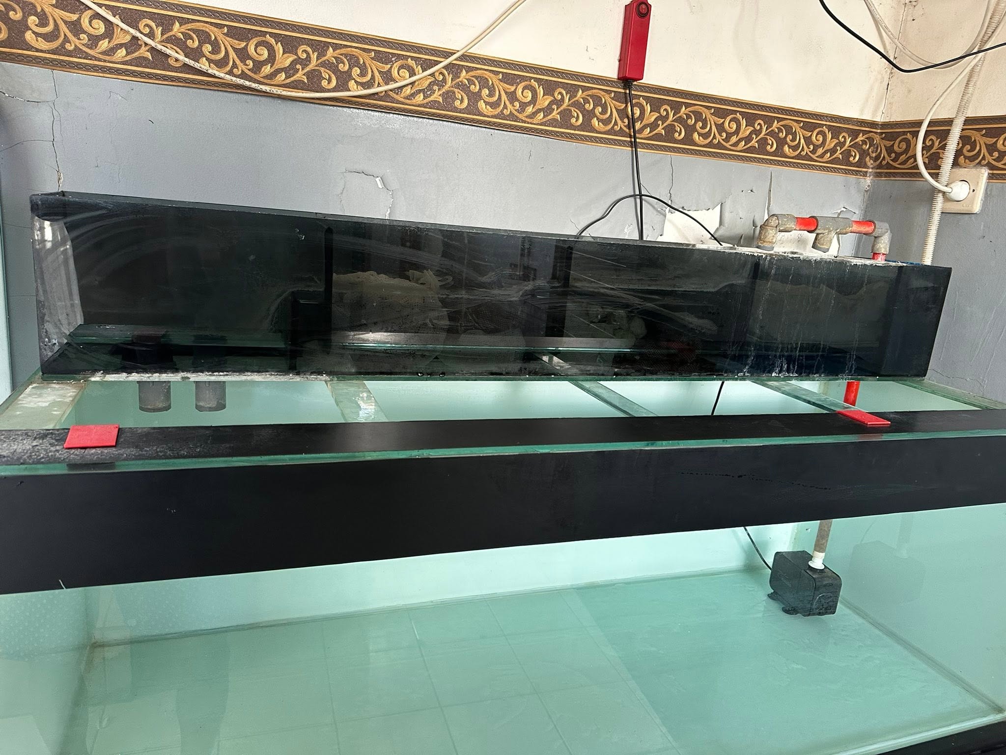 DIJUAL AQUARIUM BESAR + MEJA MULTIFUNGSI | SIAP PAKAI 🐠