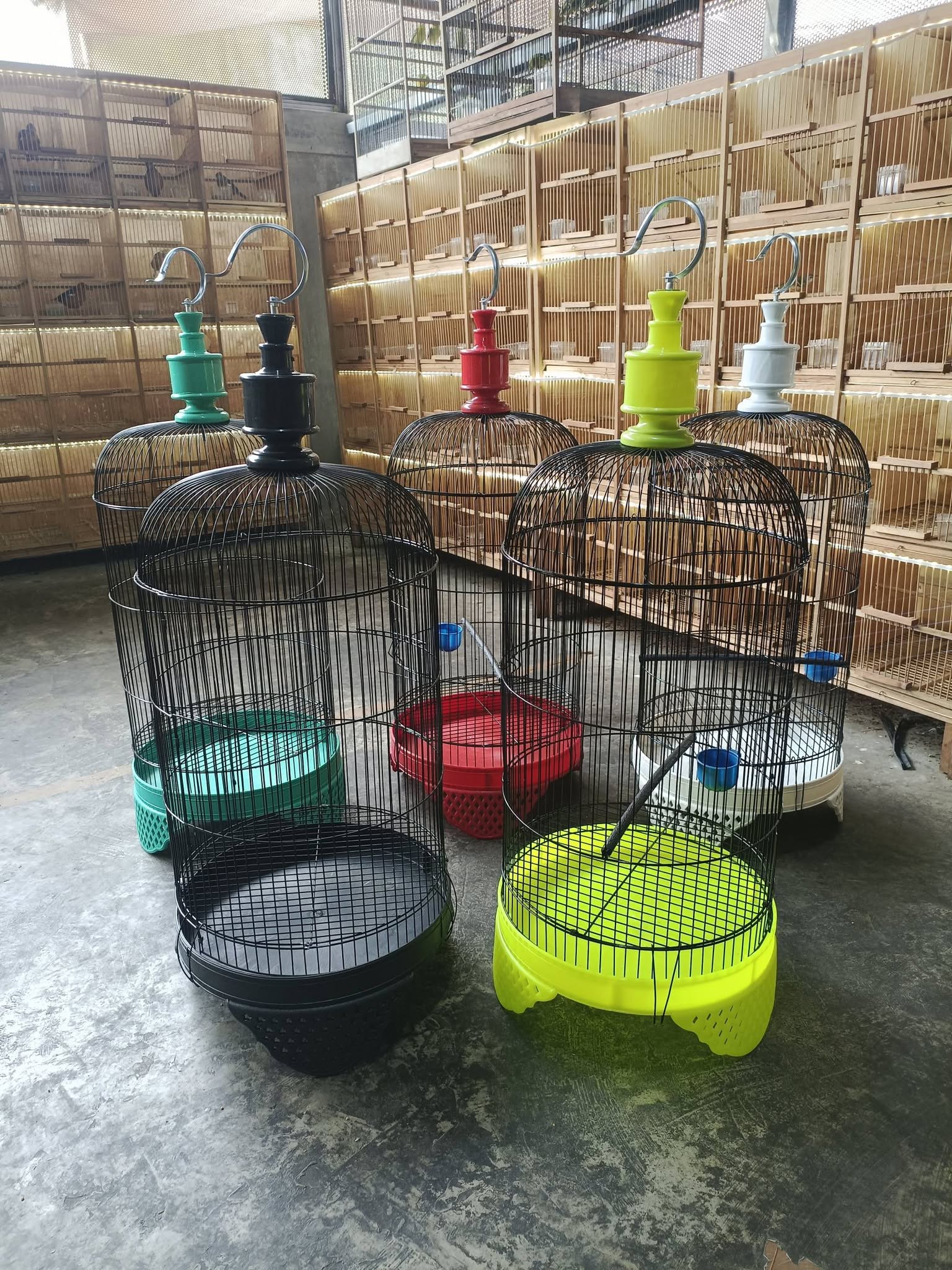 Jual Beli Sangkar Burung Baru & Bekas Wilayah Pati dan Sekitarnya 🐦