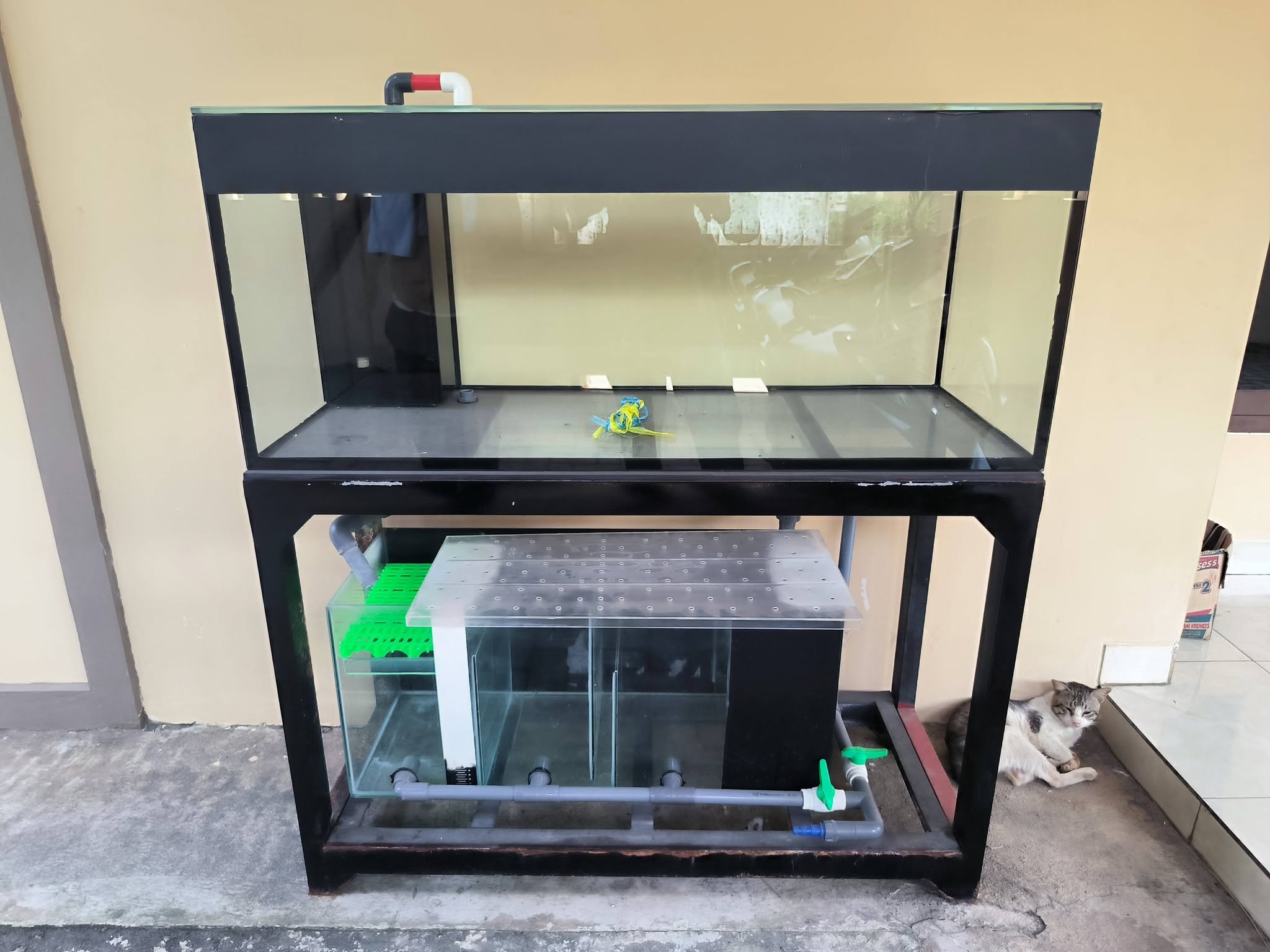 Jual Aquarium Kaca 120x50x50 Full 10mm – Sistem Water Flow Rak Holo 🐠