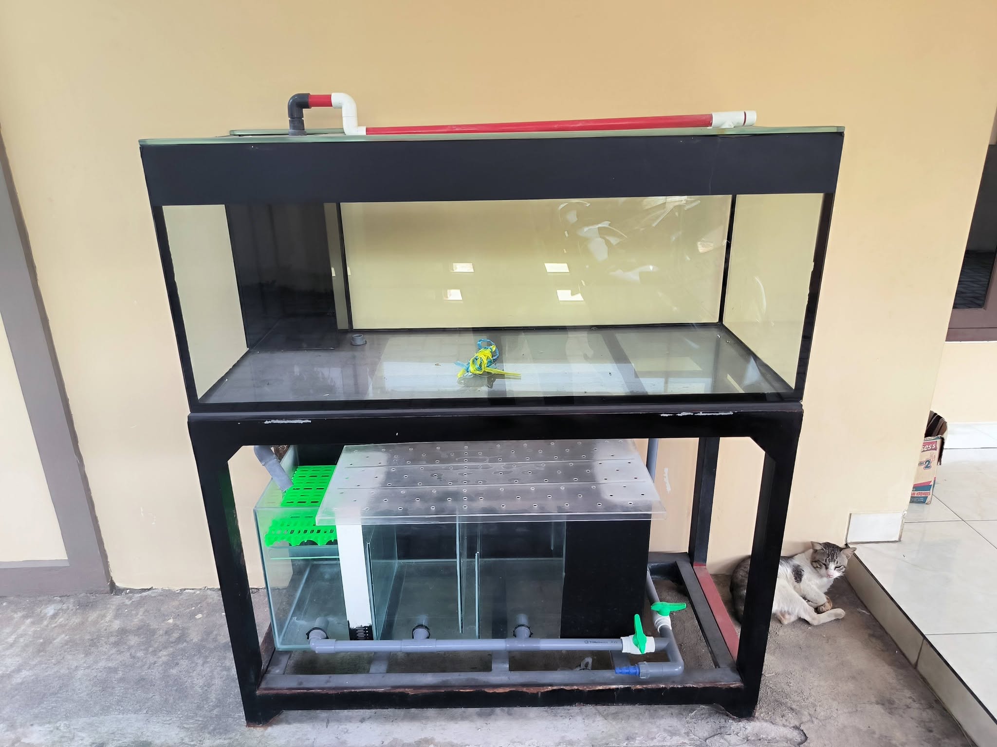 Jual Aquarium Kaca 120x50x50 Full 10mm – Sistem Water Flow Rak Holo 🐠