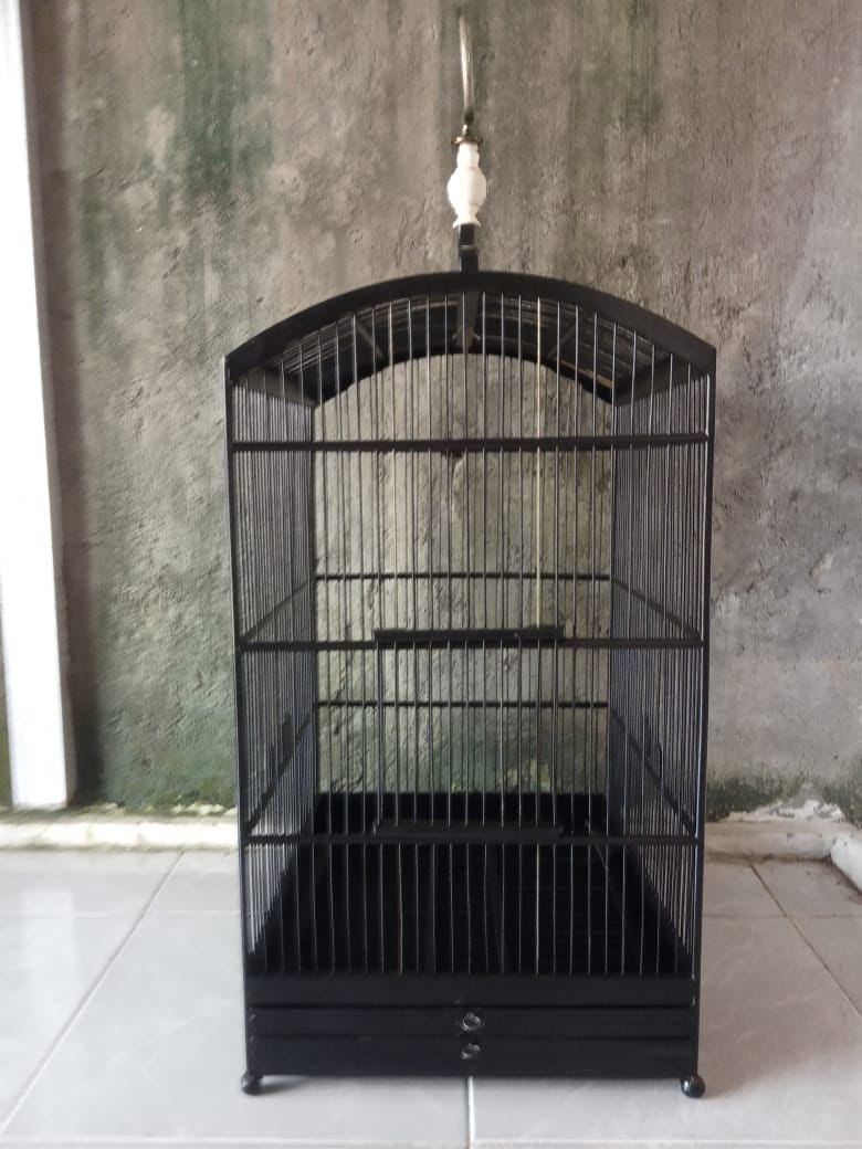 JUAL Replika Merek EBOD Ijek Mulus No. 1 – Kondisi Istimewa 🔥