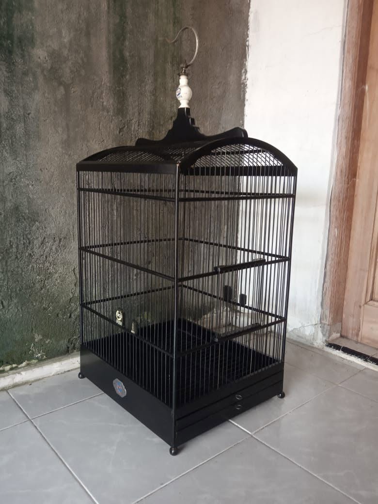 JUAL Replika Merek EBOD Ijek Mulus No. 1 – Kondisi Istimewa 🔥