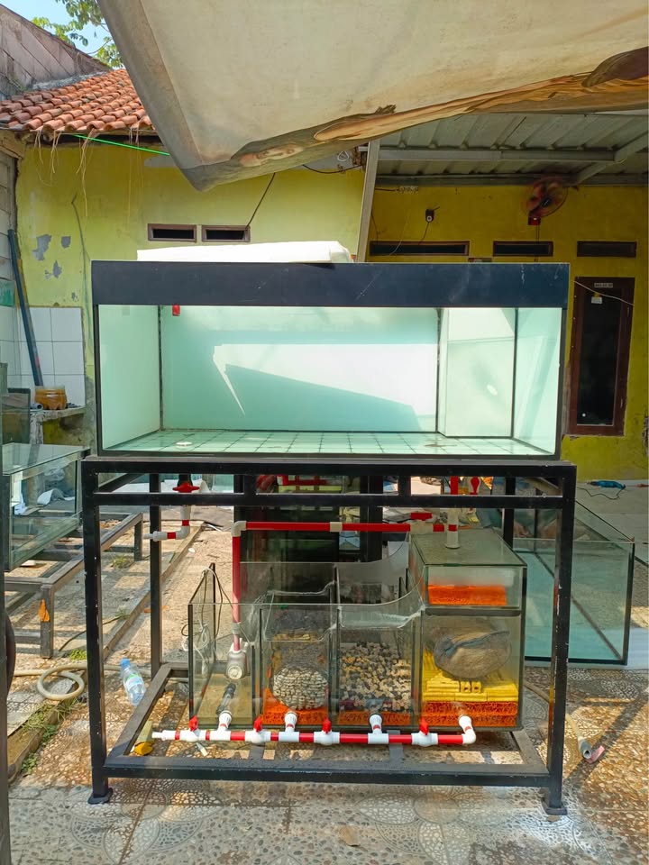 Aquarium Set Second 120x60x50 Lengkap – Kondisi Masih Sangat Layak Pakai! 🔥