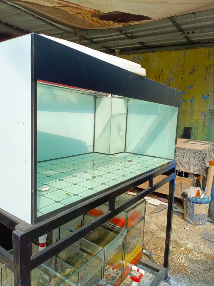 Aquarium Set Second 120x60x50 Lengkap – Kondisi Masih Sangat Layak Pakai! 🔥