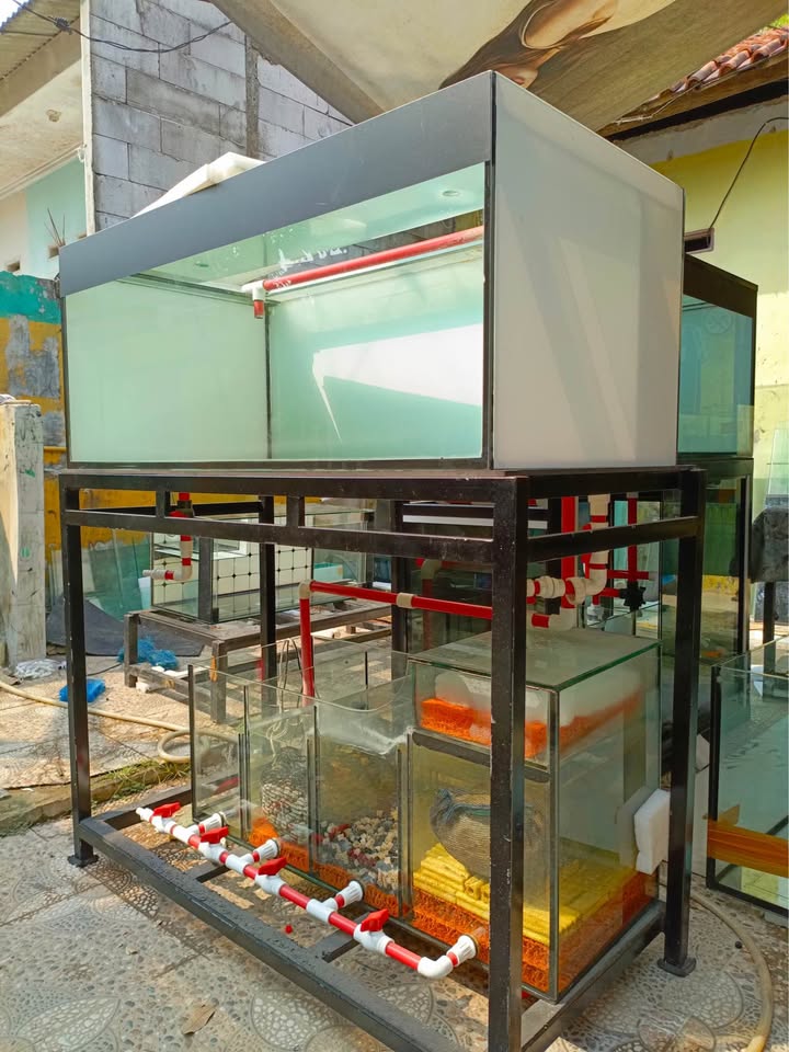 Aquarium Set Second 120x60x50 Lengkap – Kondisi Masih Sangat Layak Pakai! 🔥