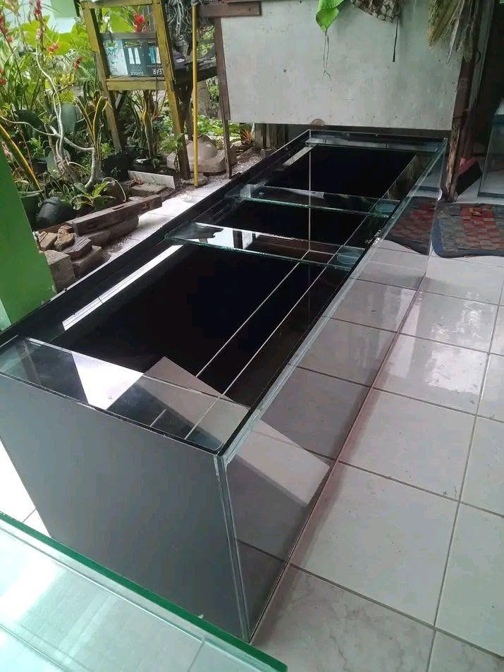 JUAL BELI AQUARIUM BARU & BEKAS YOGYAKARTA | SIAP RAKIT BERGARANSI 🐠