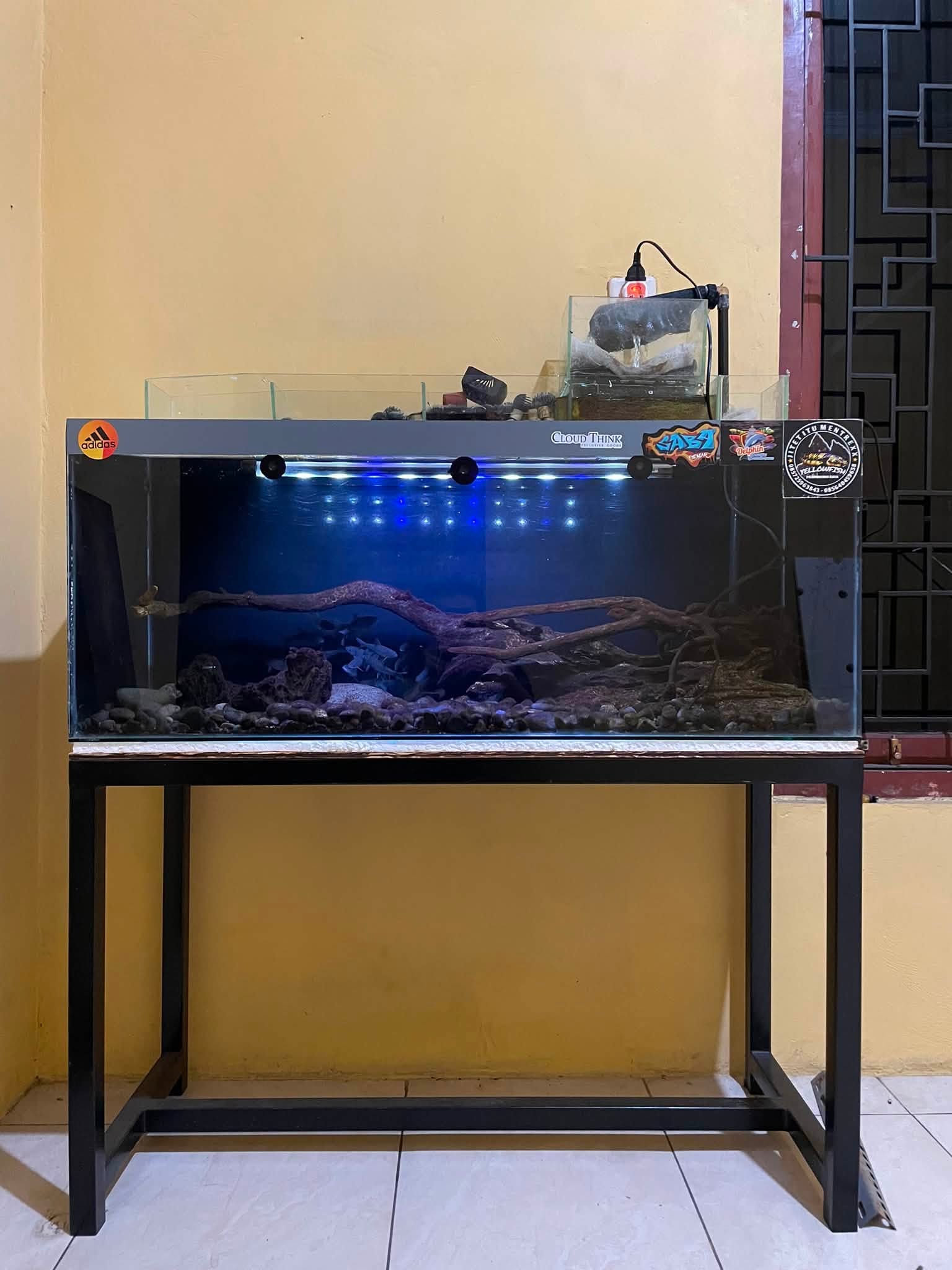 Jual Paket Fullset Aquarium + Iwak Masher Tombro, Tinggal Nyawang!