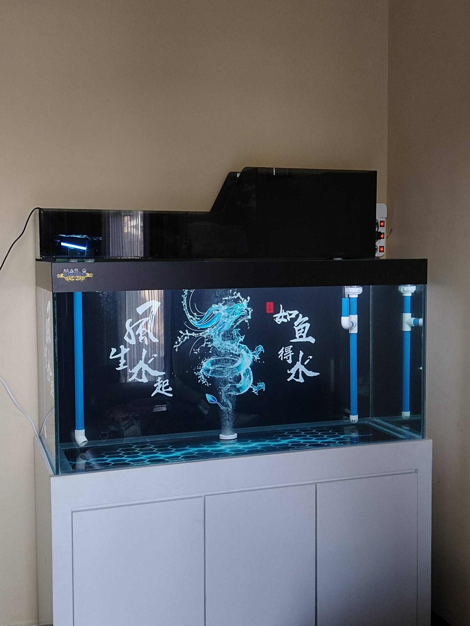 FOR SALE!! Aquarium Set Premium 120 cm Fullset – Bekas Terawat, Siap Pakai!