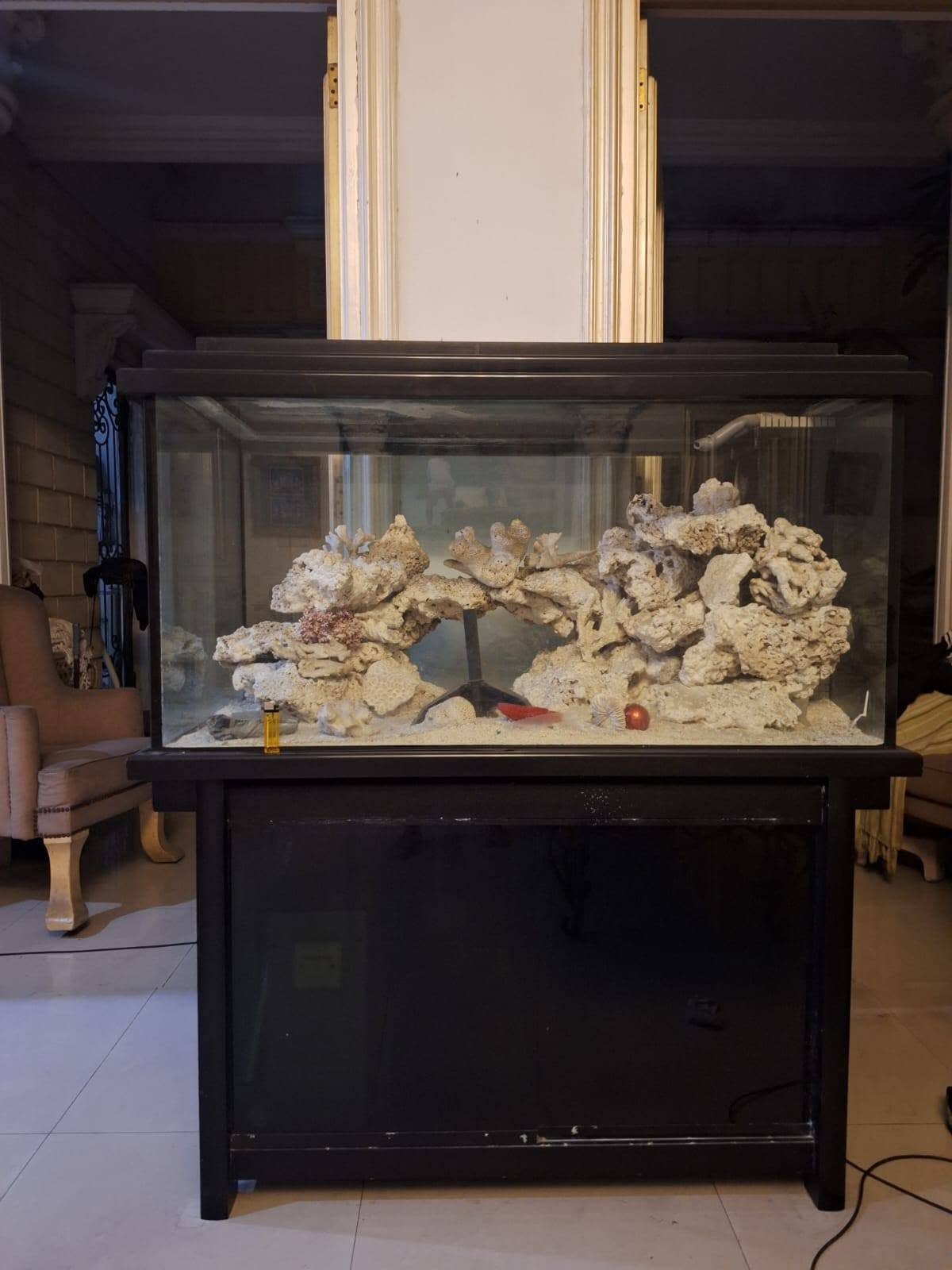 Aquarium Bekas Ikan Laut Fullset – 120×60×60 cm, Lengkap Siap Angkut!