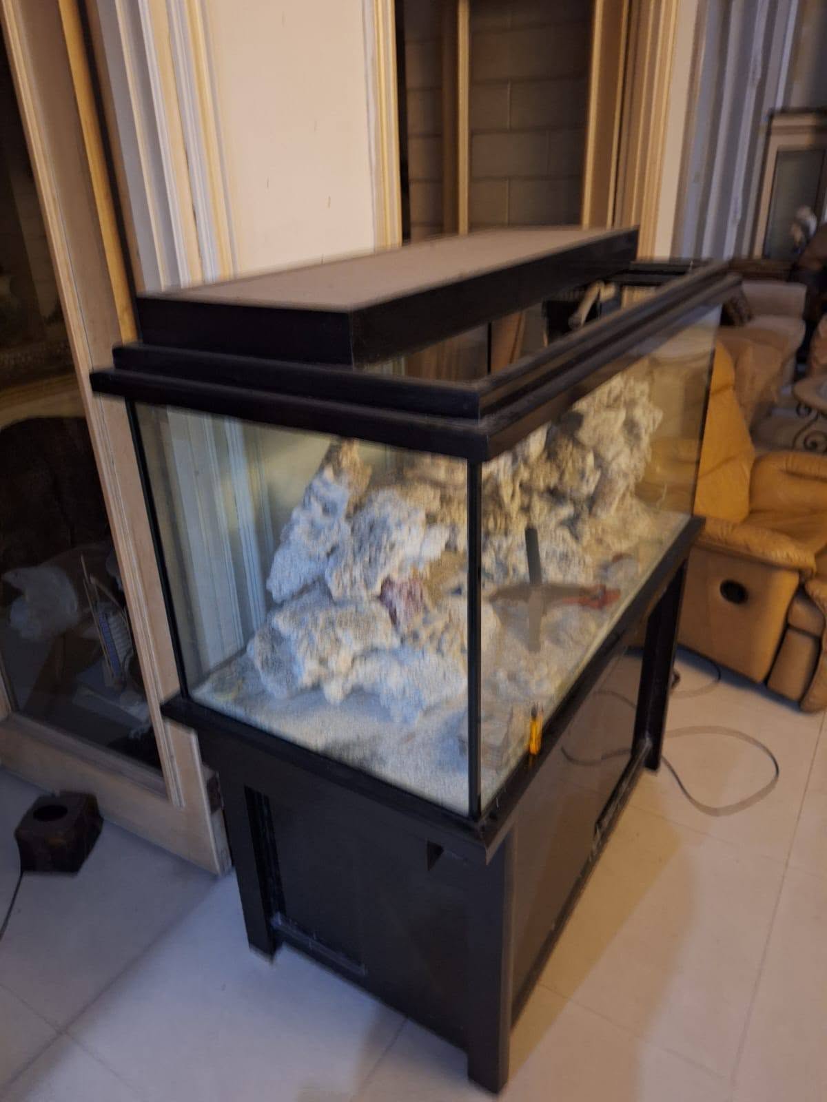 Aquarium Bekas Ikan Laut Fullset – 120×60×60 cm, Lengkap Siap Angkut!