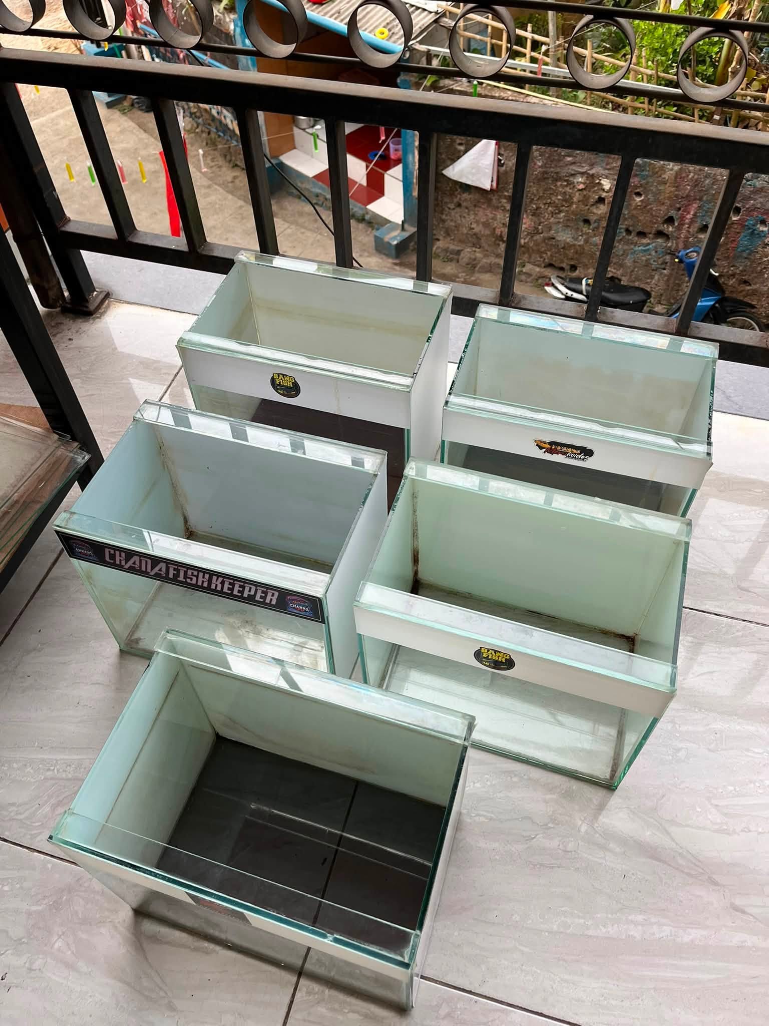 JUAL BORONG PERLENGKAPAN AQUARIUM – HARGA TERTINGGI, YANG CEPAT ANGKUT! 🔥