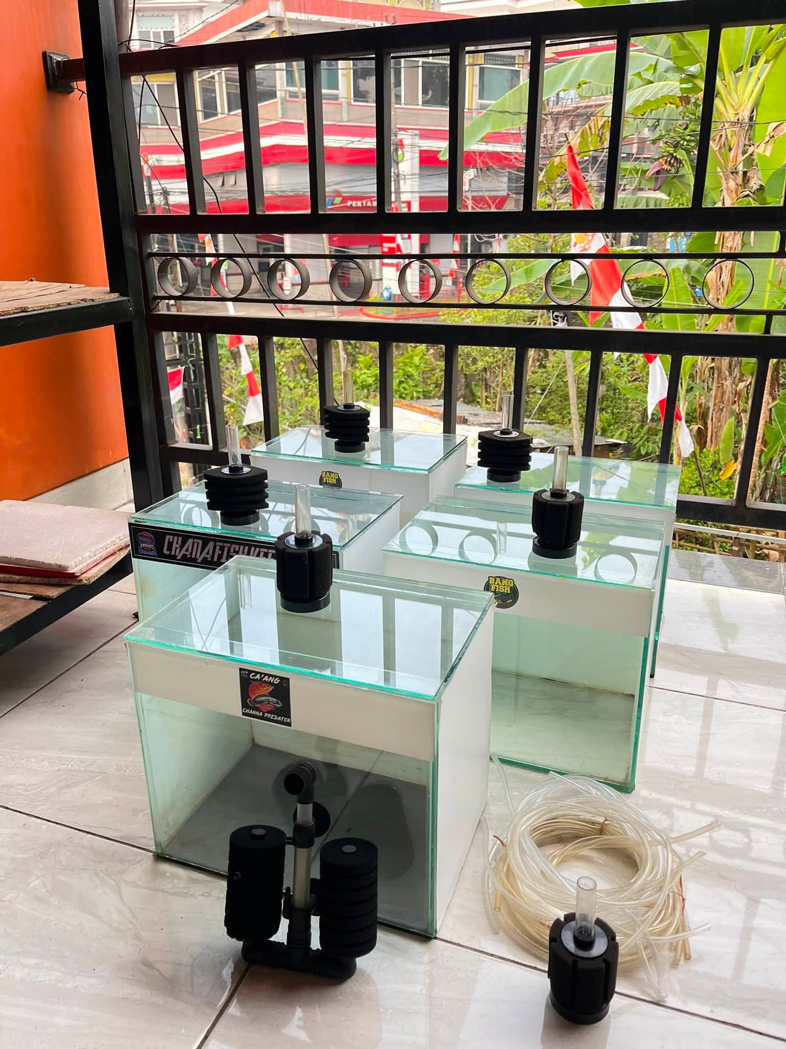 JUAL BORONG PERLENGKAPAN AQUARIUM – HARGA TERTINGGI, YANG CEPAT ANGKUT! 🔥
