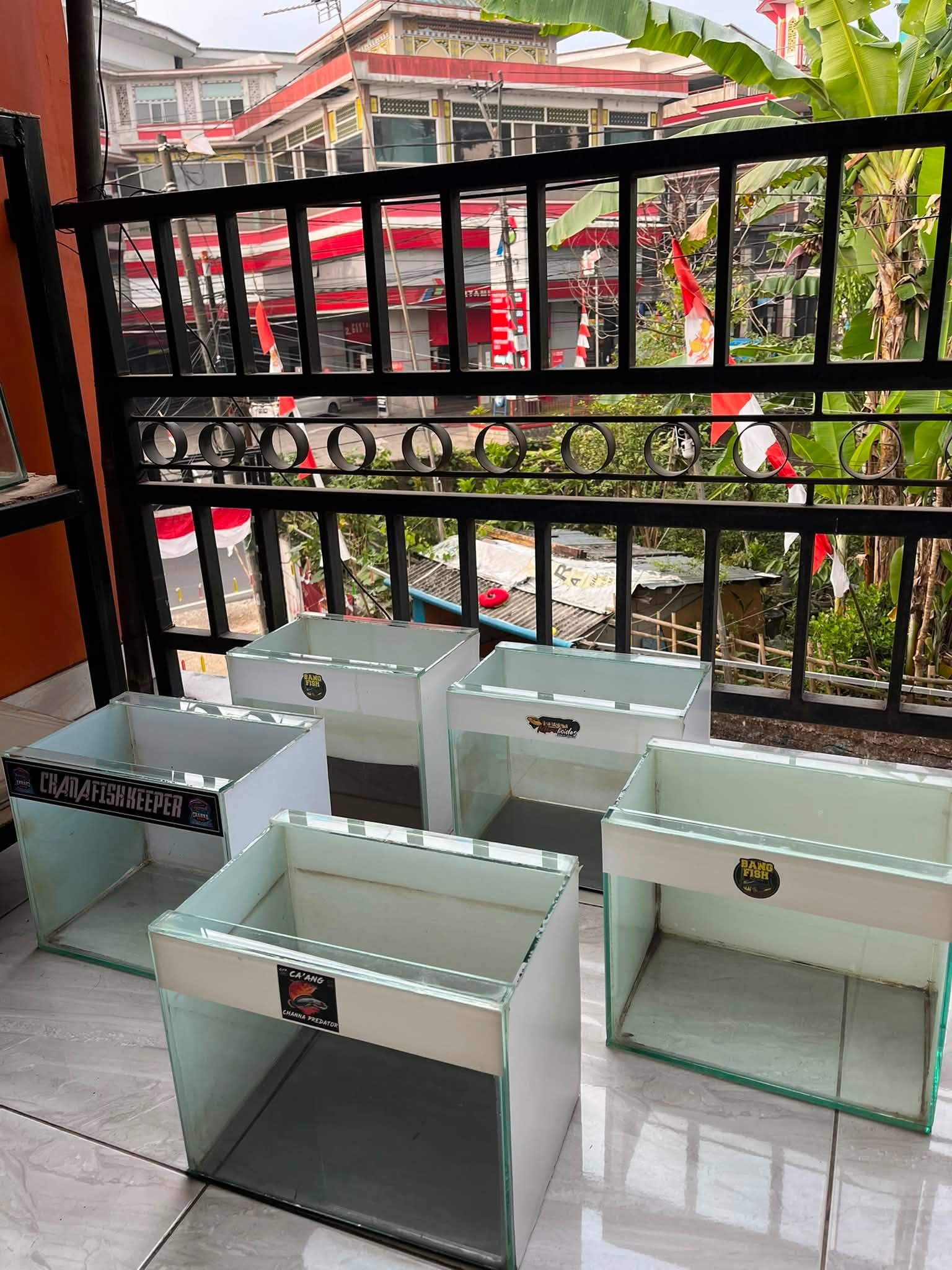 JUAL BORONG PERLENGKAPAN AQUARIUM – HARGA TERTINGGI, YANG CEPAT ANGKUT! 🔥